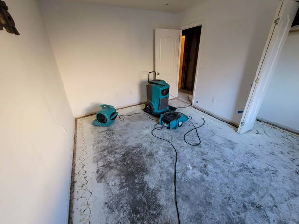 Best Mold removal after water damage  in Hawaiian Ocean View, HI