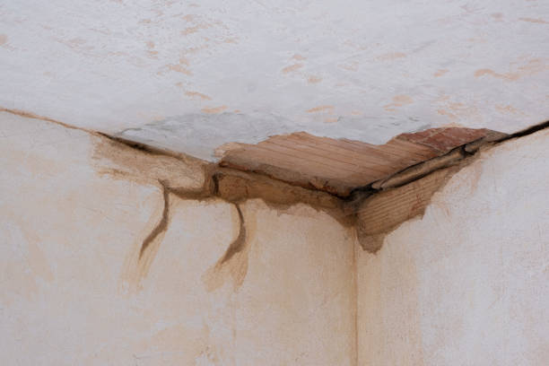 Best Commercial water damage restoration  in Hawaiian Ocean View, HI