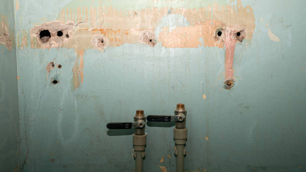 Best Flood damage cleanup  in Hawaiian Ocean View, HI