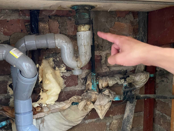 Best Water damage cleanup near me  in Hawaiian Ocean View, HI